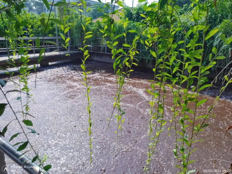 Báo cáo công tác bảo vệ môi trường Cảng Phước Long
