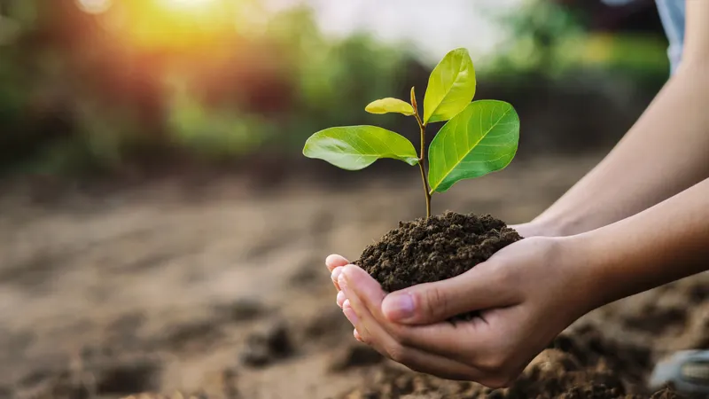 Giấy phép môi trường Bệnh viện đa khoa Hoàn Hảo